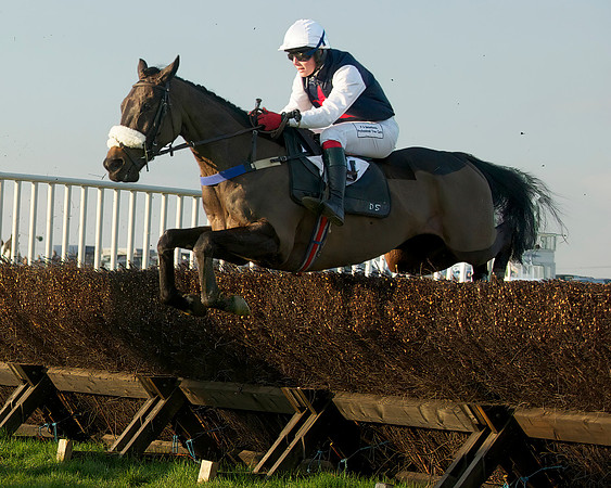 Race 8 -  24
