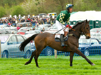 Race 4 - Nov-vets 16