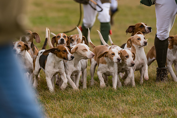 Race 1 - Hunt Members (5 of 89)