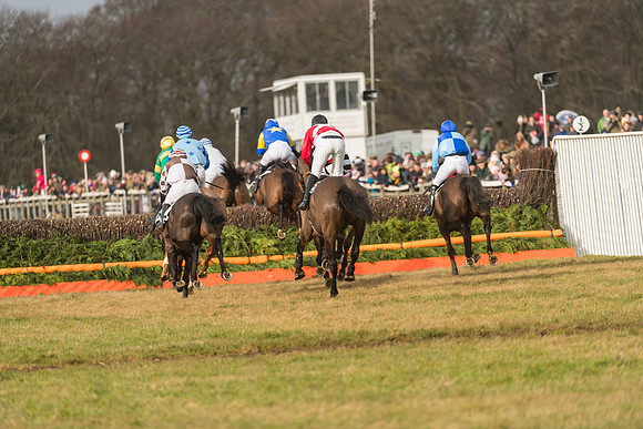 Race 2 - Restricted Race (46 of 71)