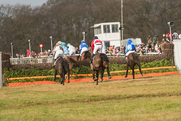 Race 2 - Restricted Race (47 of 71)