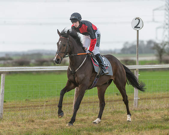 Race 3 - PPORA Novice Riders (2 of 99)