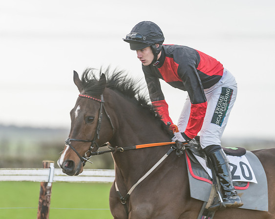 Race 3 - PPORA Novice Riders (3 of 99)