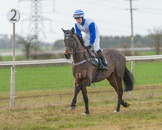 Race 3 - PPORA Novice Riders (4 of 99)