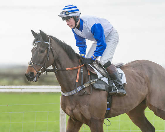 Race 3 - PPORA Novice Riders (5 of 99)