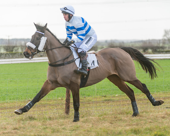 Race 3 - PPORA Novice Riders (6 of 99)