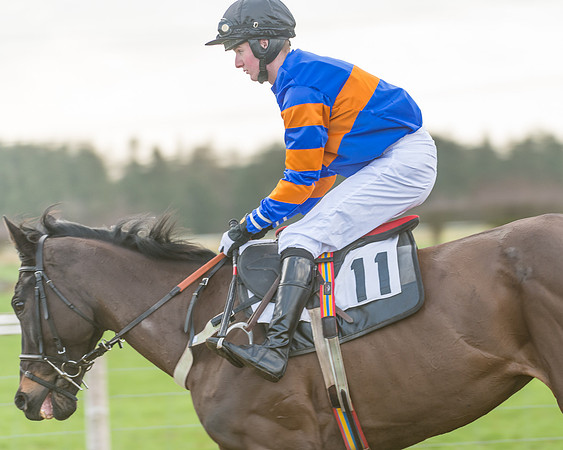 Race 3 - PPORA Novice Riders (7 of 99)