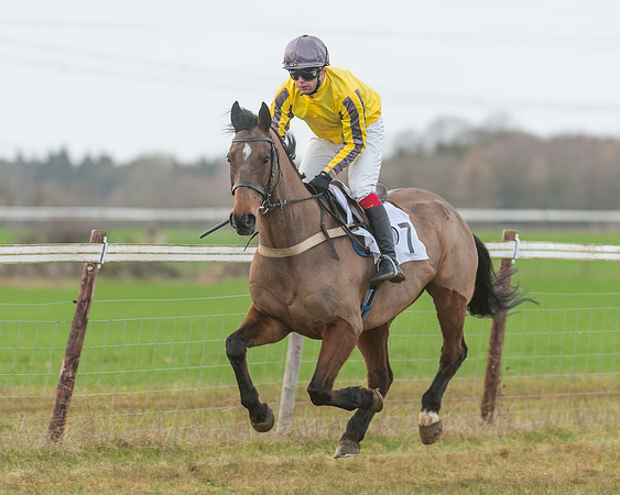 Race 3 - PPORA Novice Riders (8 of 99)
