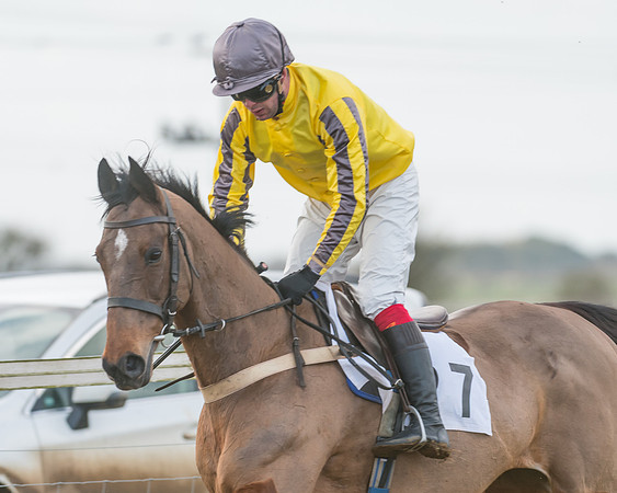 Race 3 - PPORA Novice Riders (9 of 99)