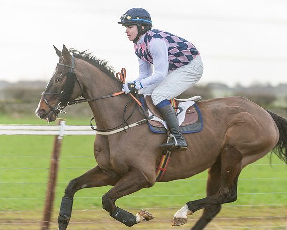 Race 3 - PPORA Novice Riders (11 of 99)