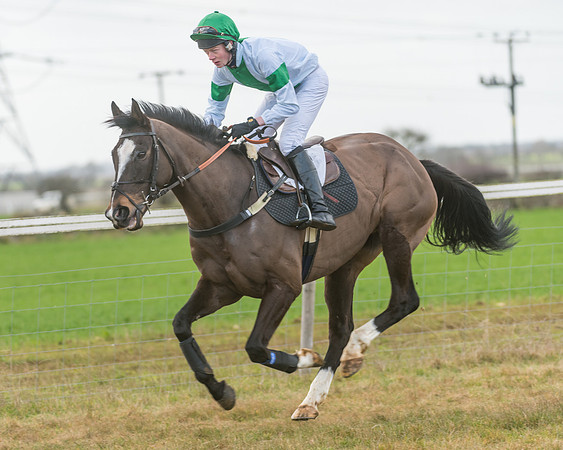 Race 3 - PPORA Novice Riders (12 of 99)