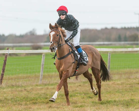 Race 3 - PPORA Novice Riders (16 of 99)
