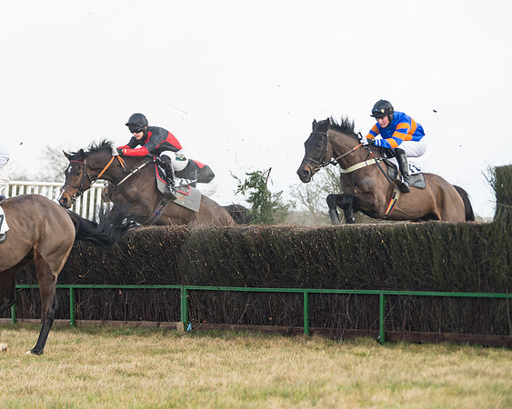 Race 3 - PPORA Novice Riders (30 of 99)