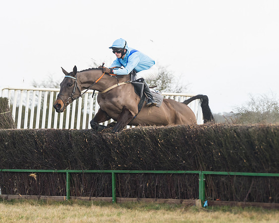 Race 3 - PPORA Novice Riders (36 of 99)