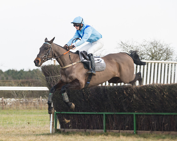 Race 3 - PPORA Novice Riders (37 of 99)