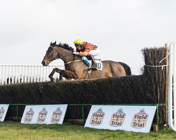 Race 3 - PPORA Novice Riders (50 of 99)