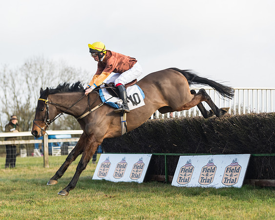 Race 3 - PPORA Novice Riders (52 of 99)