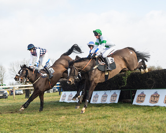 Race 3 - PPORA Novice Riders (57 of 99)