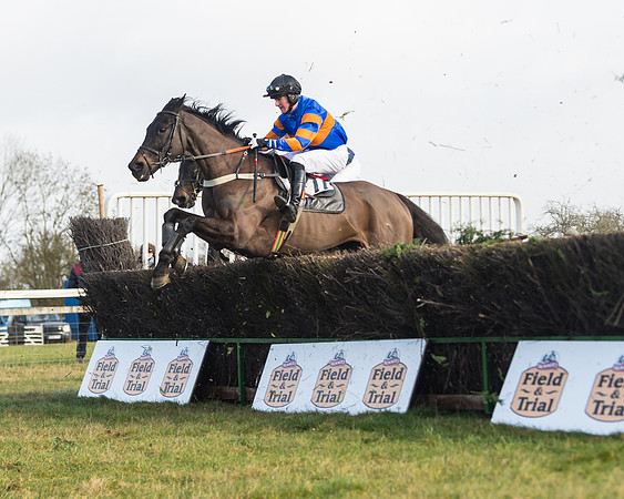 Race 3 - PPORA Novice Riders (58 of 99)