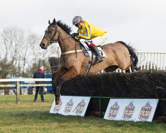Race 3 - PPORA Novice Riders (64 of 99)