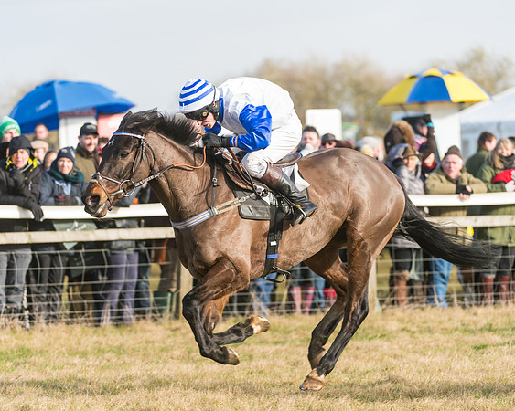 Race 3 - PPORA Novice Riders (76 of 99)