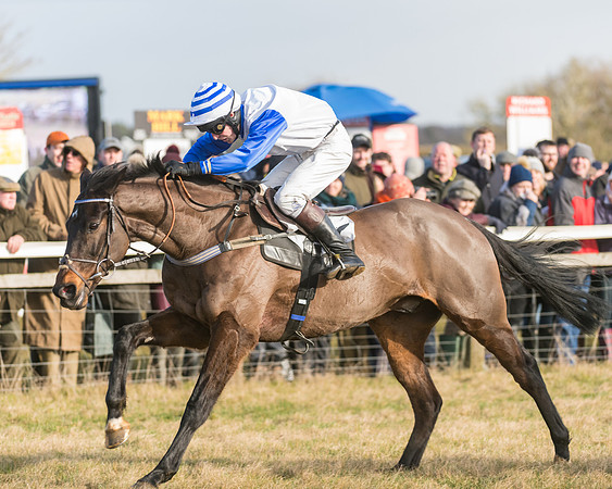 Race 3 - PPORA Novice Riders (77 of 99)