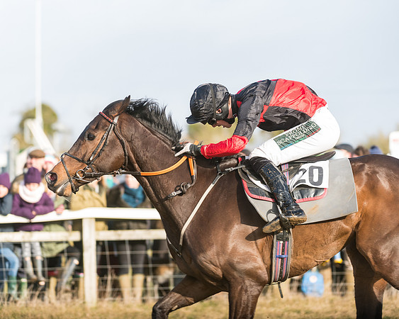 Race 3 - PPORA Novice Riders (78 of 99)