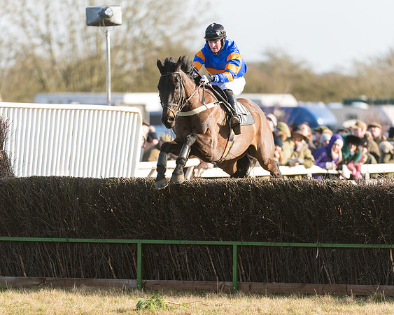Race 3 - PPORA Novice Riders (80 of 99)