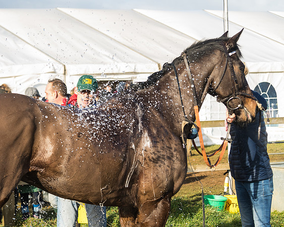 Race 3 - PPORA Novice Riders (97 of 99)
