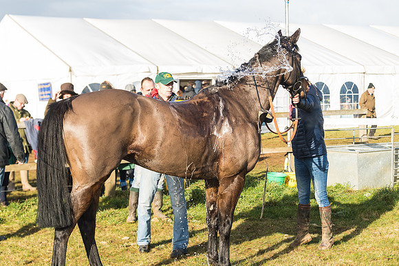 Race 3 - PPORA Novice Riders (96 of 99)