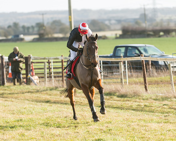 Race 4 - Skinners Ladies Open (3 of 78)
