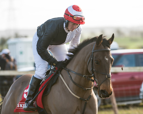 Race 4 - Skinners Ladies Open (5 of 78)