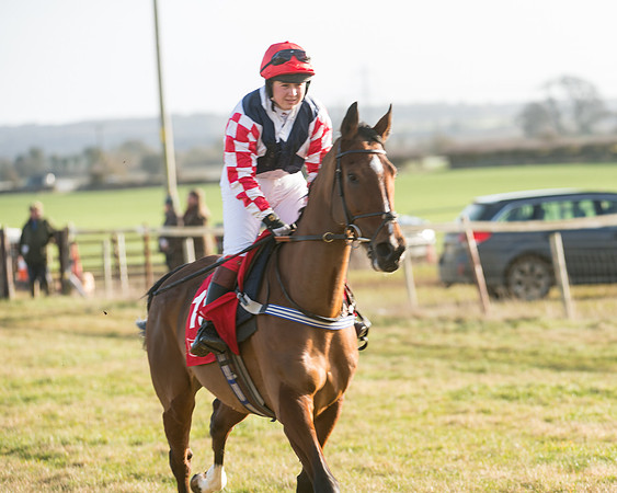 Race 4 - Skinners Ladies Open (13 of 78)