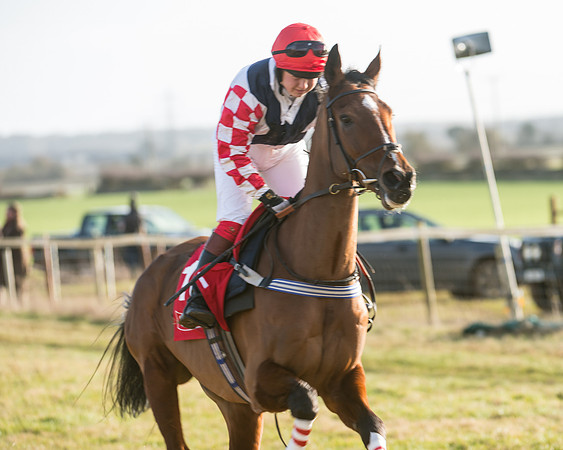 Race 4 - Skinners Ladies Open (14 of 78)