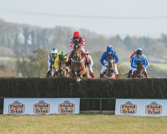 Race 4 - Skinners Ladies Open (17 of 78)