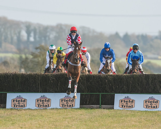 Race 4 - Skinners Ladies Open (18 of 78)