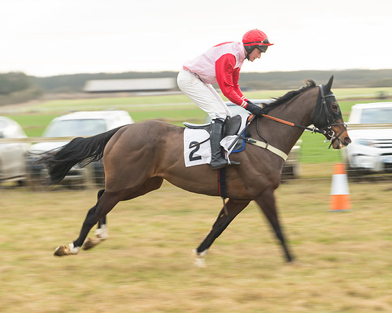 Race 6 - Young Horse Maiden (2 of 64)