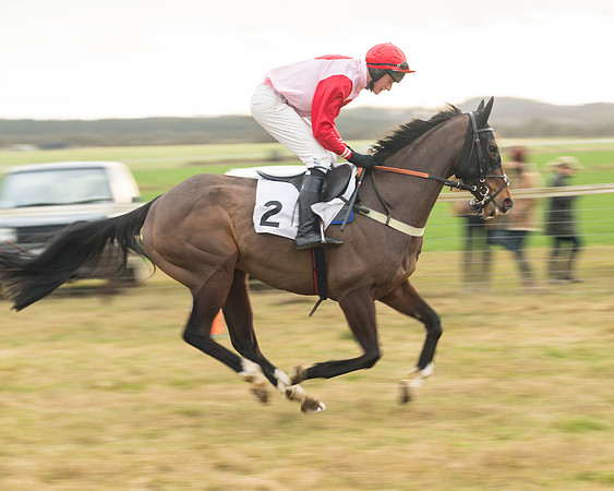 Race 6 - Young Horse Maiden (3 of 64)