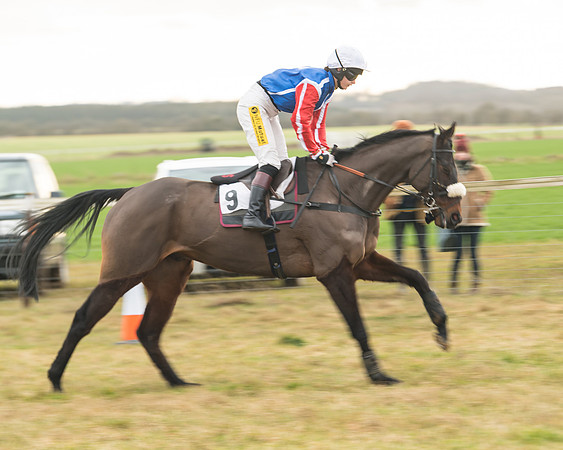 Race 6 - Young Horse Maiden (4 of 64)