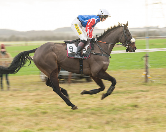 Race 6 - Young Horse Maiden (5 of 64)