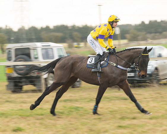 Race 6 - Young Horse Maiden (6 of 64)