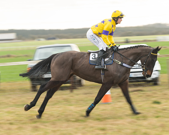 Race 6 - Young Horse Maiden (7 of 64)