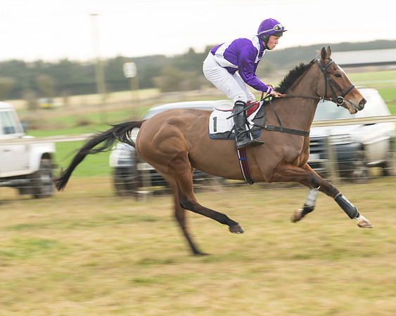 Race 6 - Young Horse Maiden (8 of 64)