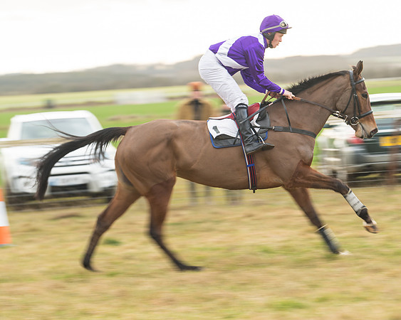 Race 6 - Young Horse Maiden (9 of 64)