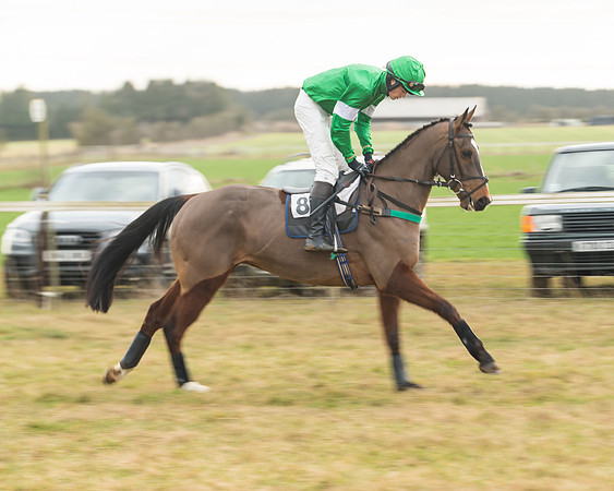 Race 6 - Young Horse Maiden (10 of 64)