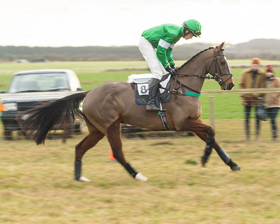 Race 6 - Young Horse Maiden (11 of 64)