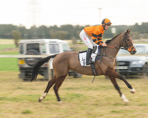 Race 6 - Young Horse Maiden (12 of 64)