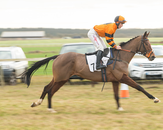 Race 6 - Young Horse Maiden (13 of 64)