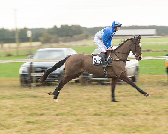 Race 6 - Young Horse Maiden (14 of 64)