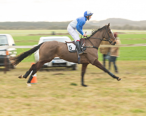 Race 6 - Young Horse Maiden (15 of 64)